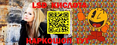стафф Дубна
