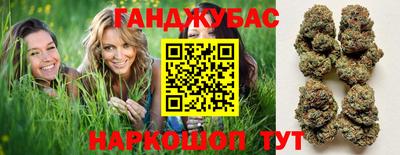 стафф Дубна