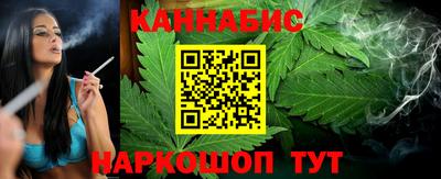стафф Дубна