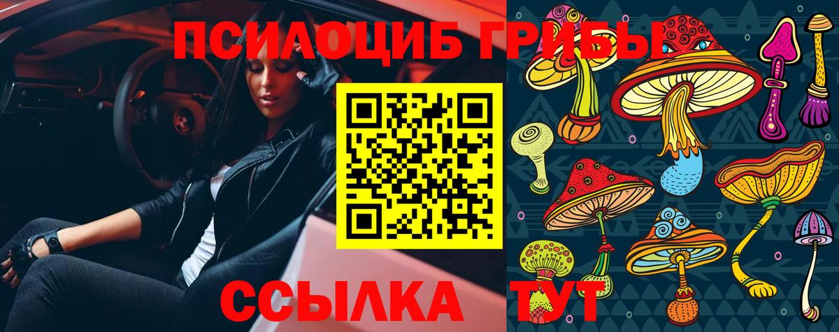 Галлюциногенные грибы MAGIC MUSHROOMS  Вход с VPN  Москва  Псилоцибиновые грибы Cubensis 